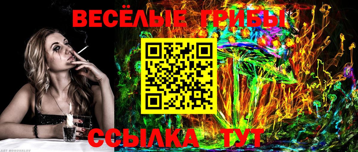 Галлюциногенные грибы Psilocybe Великие Луки
